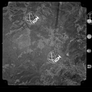 104-1965-XXX-3133