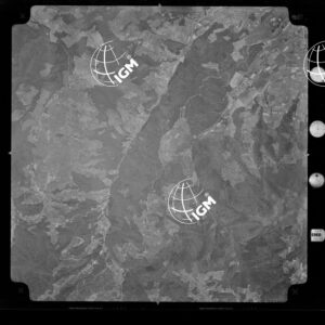 104-1965-XXX-3135