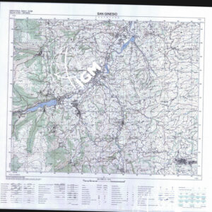 313 I (San Genesio) Anno: 1996