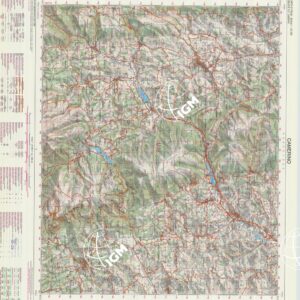 313 (CAMERINO) Anno: 1997