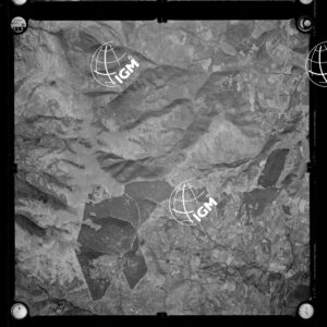 106-1963-P-314