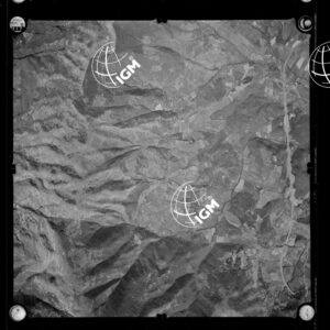 106-1963-P-317