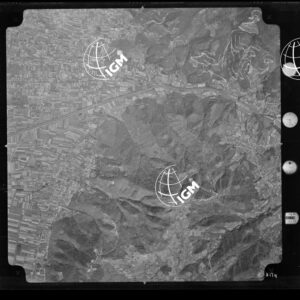 104-1965-XXXI-3174