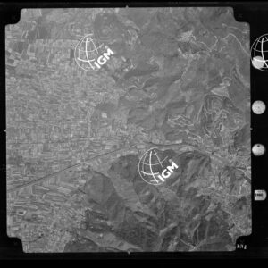 104-1965-XXXI-3175