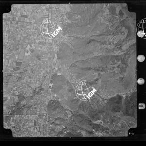104-1965-XXXI-3177