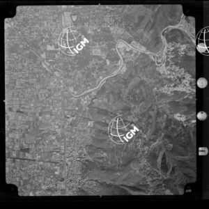 104-1965-XXXI-3179
