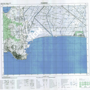 317 I (Piombino) Anno: 1992