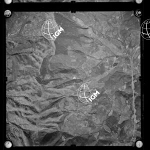 106-1963-P-318