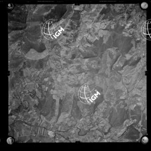 106-1963-XXIII-318