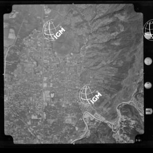 104-1965-XXXI-3181