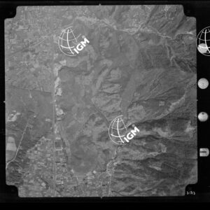 104-1965-XXXI-3183