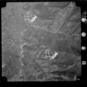 96-1965-XXXI-3184