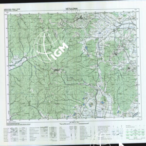 318 II (Vetulonia) Anno: 1992