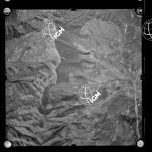 106-1963-P-319