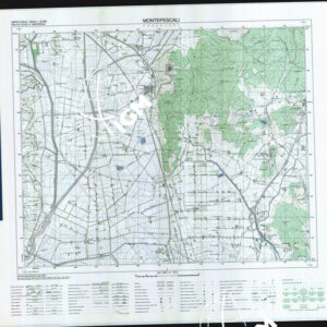 319 III (Montepèscali) Anno: 1992