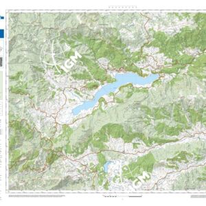 31 46 (Lago Arvo) Anno: 2022