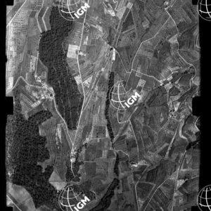 106-1936-II-31C