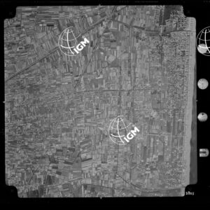 104-1965-XXXII-3205