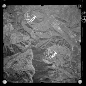106-1963-P-321