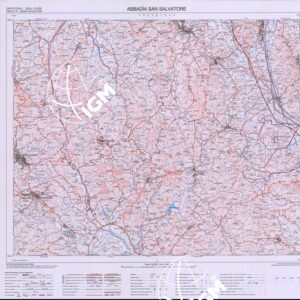 321 (ABBADIA SAN SALVATORE) Anno: 2014