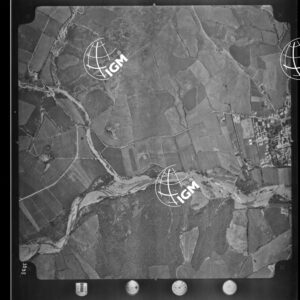 98-1965-XLII-3295