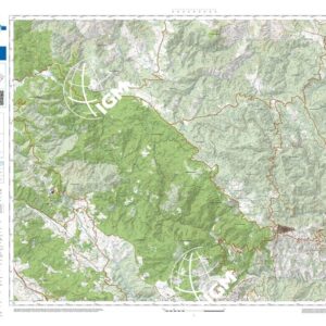 32 47 (Savelli) Anno: 2022