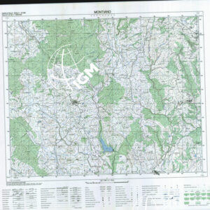 331 II (Montiano) Anno: 2003