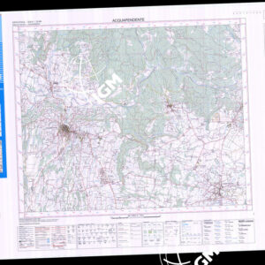 333 I (Acquapendente) Anno: 2006