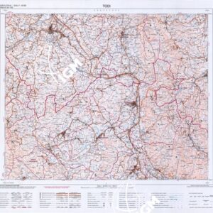 335 (TODI) Anno: 2002