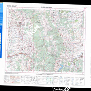 335 I (Massa Martana) Anno: 2001