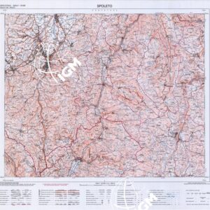 336 (SPOLETO) Anno: 2002