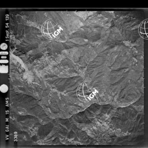 104-1954-2-3389
