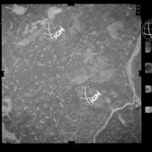 85-1982-XIIID-339