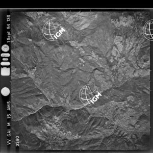 104-1954-2-3390