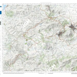 33 08 (Guspini) Anno: 2022