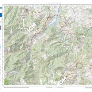 33 47 (Campana) Anno: 2022