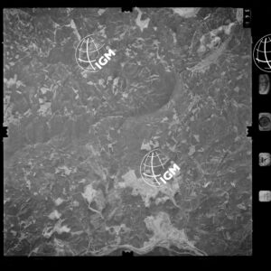 85-1982-XIIID-341