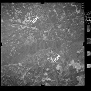 85-1982-XIIID-342