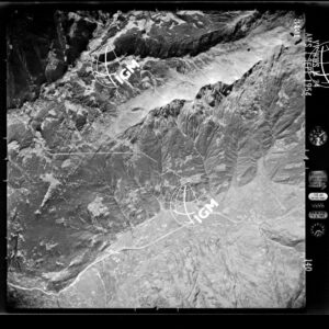 10-1954-9-3421