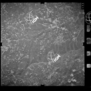 85-1982-XIIID-343