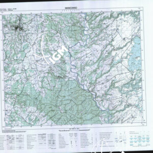 343 I (Manciano) Anno: 2011