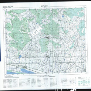 343 III (Capalbio) Anno: 2011