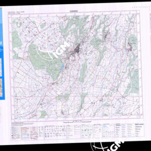 344 III (Canino) Anno: 2006