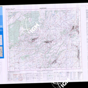 344 IV (Valentano) Anno: 2008