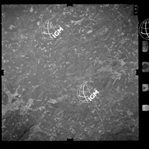 85-1982-XIIID-345