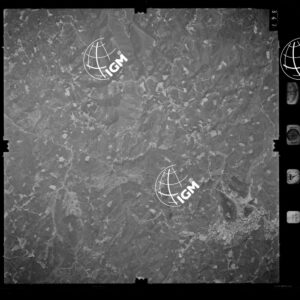 85-1982-XIIID-347