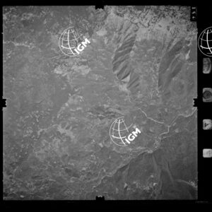 85-1982-XIIID-354