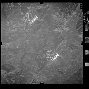 85-1982-XIIID-355