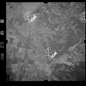 105-1986-7-355