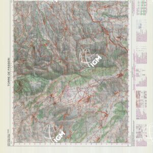 360 (TORRE DEI PASSERI) Anno: 1993